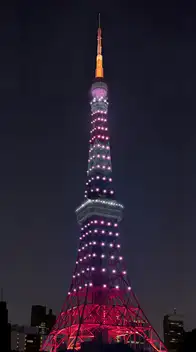 日によって演出が変わる、ピンクや紫系のカラーで全体が彩られた夜の東京タワー